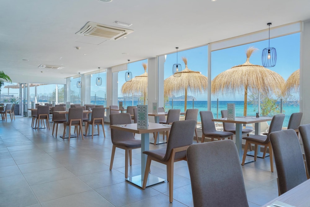 Globales Concord — Restaurant & bars in Can Picafort, Balearic Islands