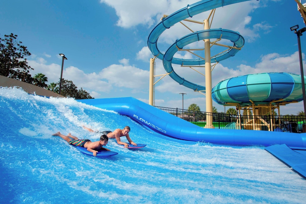 Gaylord Palms Resort & Convention Center — Swimming pool in Kissimmee, Florida