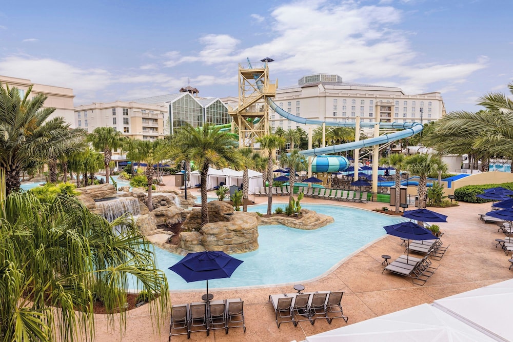 Gaylord Palms Resort & Convention Center — Swimming pool in Kissimmee, Florida