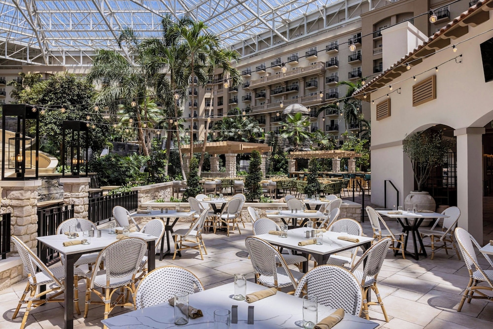 Gaylord Palms Resort & Convention Center — Restaurant & bars in Kissimmee, Florida