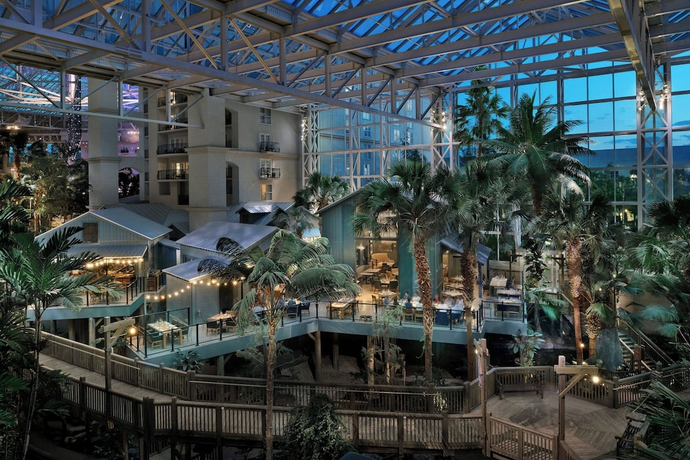 Gaylord Palms Resort & Convention Center — Restaurant & bars in Kissimmee, Florida