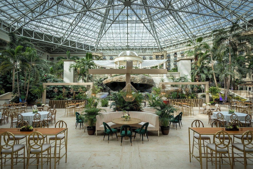Gaylord Palms Resort & Convention Center — Restaurant & bars in Kissimmee, Florida