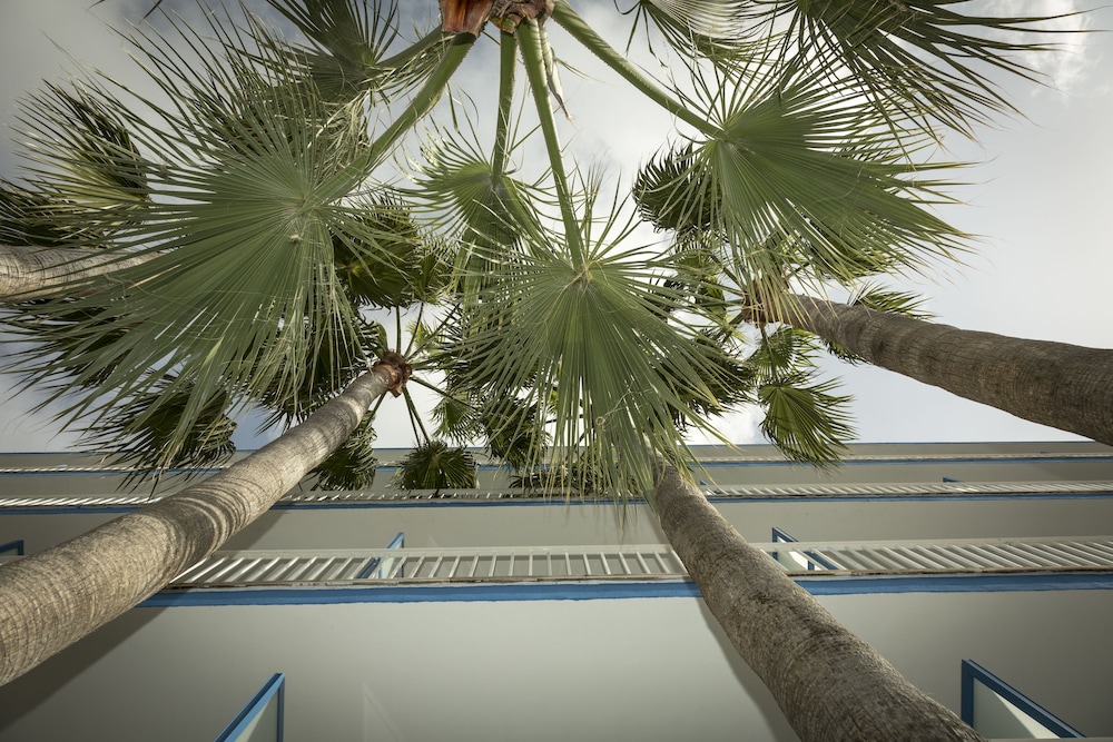 Hotel Ilusion Vista Blava — Hotel building in Cala Millor, Balearic Islands