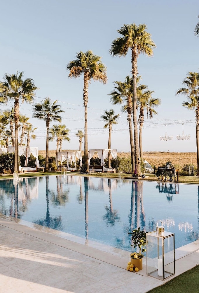 Wine & Books by the sea — Swimming pool in Albufeira, Faro