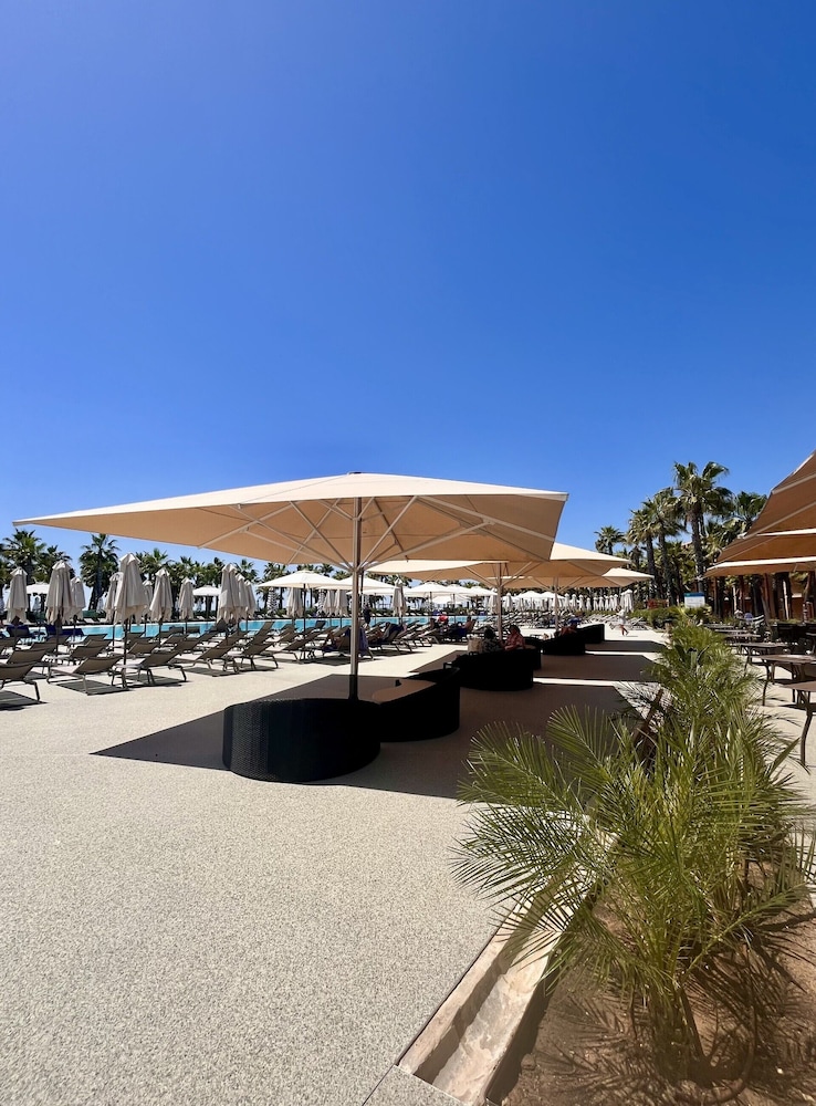 Wine & Books by the sea — Swimming pool in Albufeira, Faro