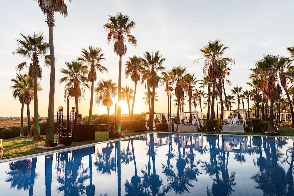 Wine & Books by the sea — Swimming pool in Albufeira, Faro