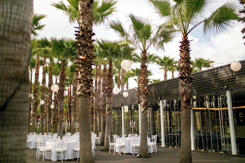 Wine & Books by the sea — Restaurant & bars in Albufeira, Faro