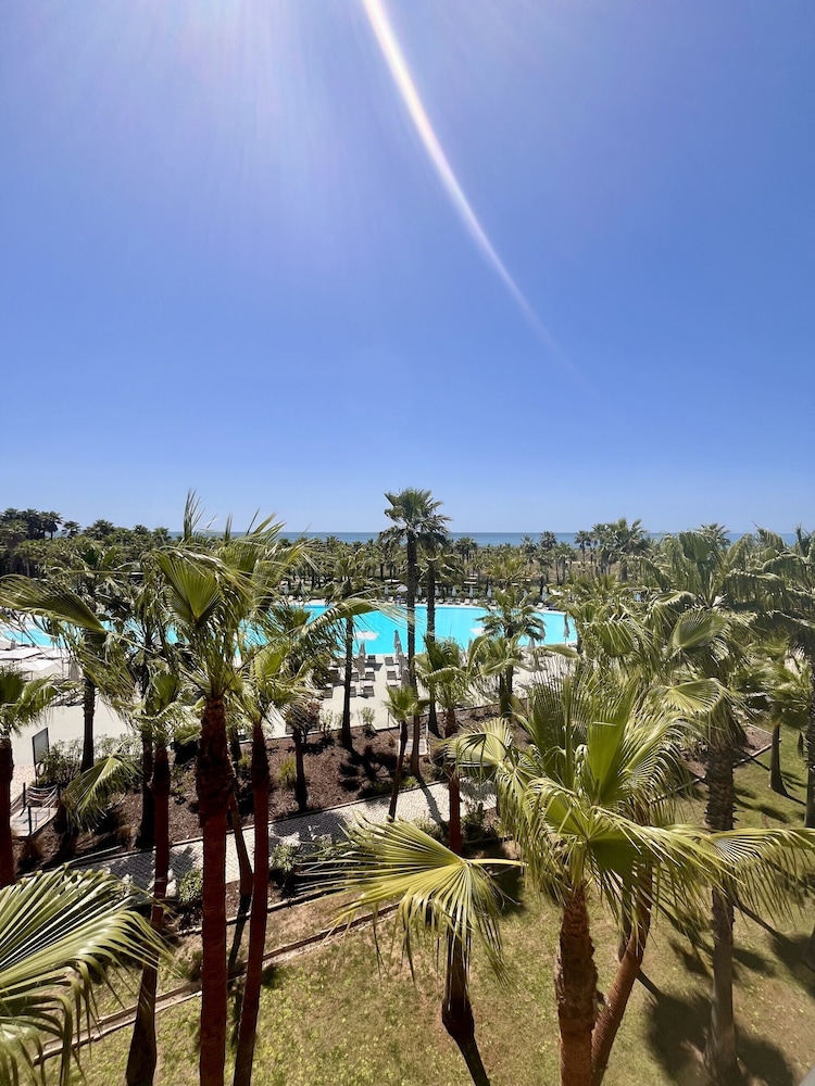 Wine & Books by the sea — Swimming pool in Albufeira, Faro