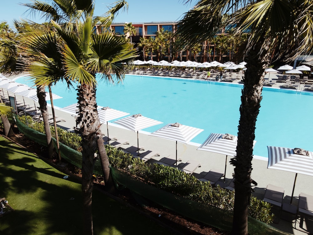 Wine & Books by the sea — Swimming pool in Albufeira, Faro