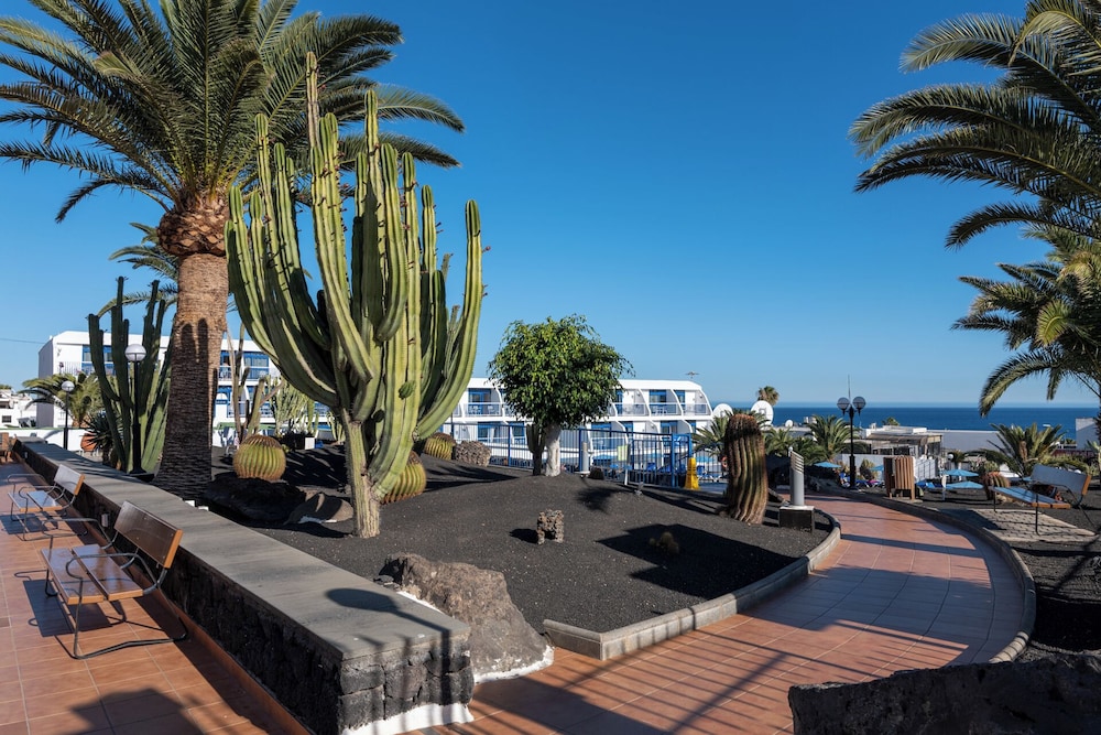 Ereza Apartamentos Los Hibiscos - Adults Only — Hotel building in Puerto del Carmen, Canary Islands