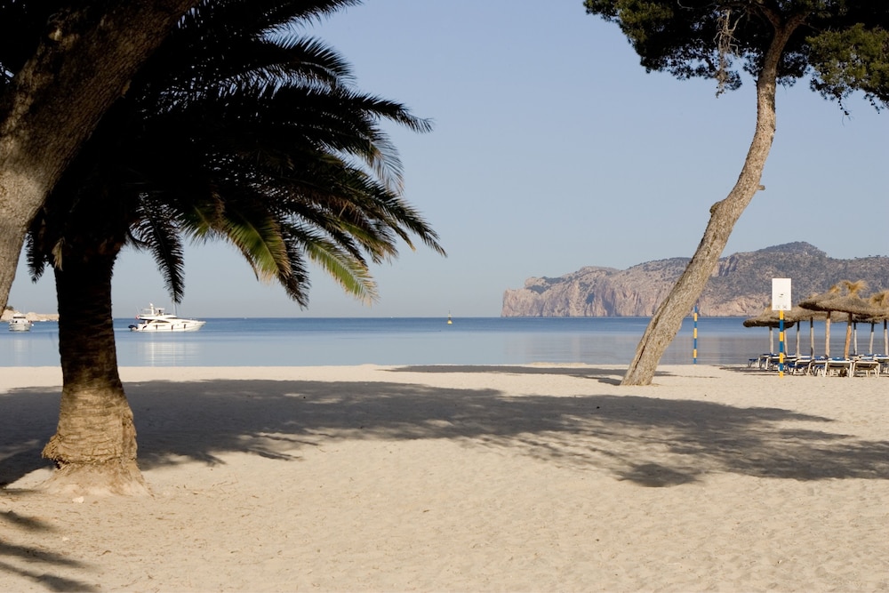 Apartamentos Jutlandia — Beach in Santa Ponca, Balearic Islands