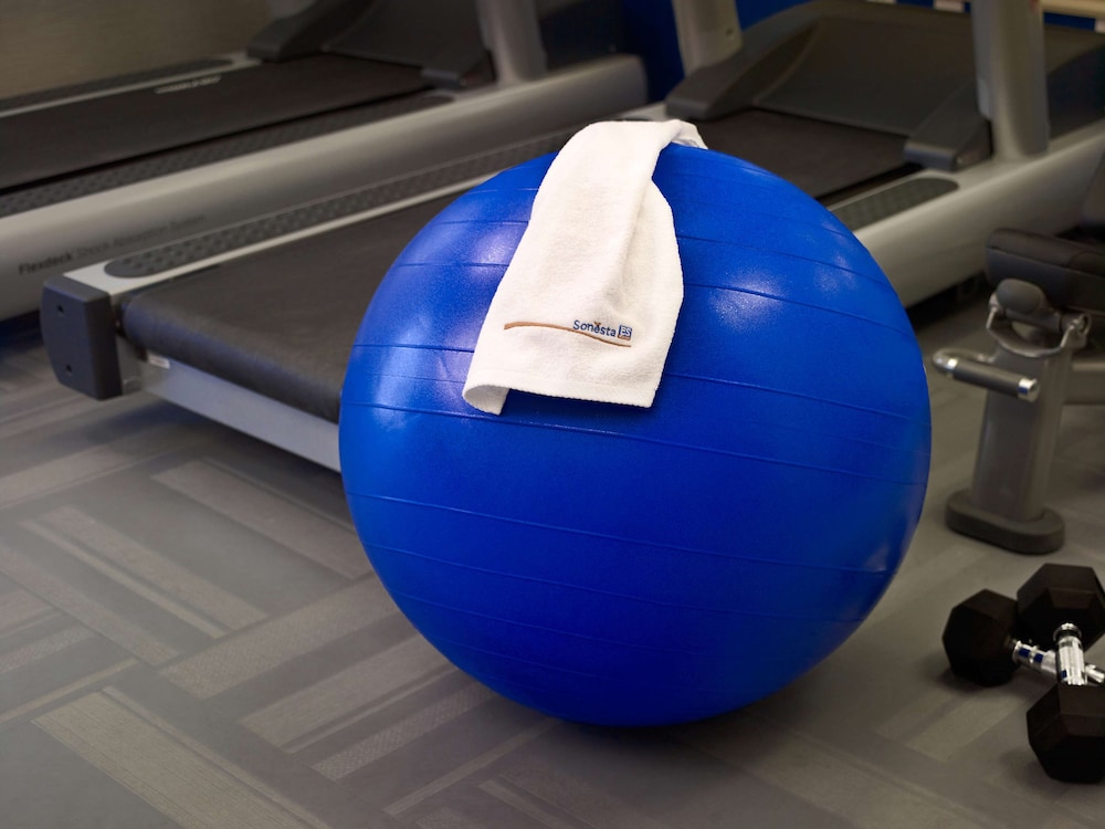 Sonesta ES Suites Orlando - Lake Buena Vista — Sports & recreation in Orlando, Florida