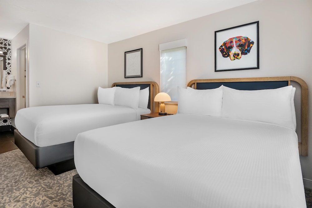 Sonesta ES Suites Orlando - Lake Buena Vista — Hotel rooms in Orlando, Florida