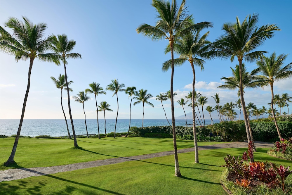 Andaz Maui at Wailea Resort - a concept by Hyatt — Beach in Kula, Hawaii
