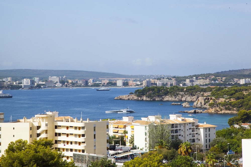 Tomir Portals Suites - Adults Only (+16) — Attractions in the area in Portals Nous, Balearic Islands