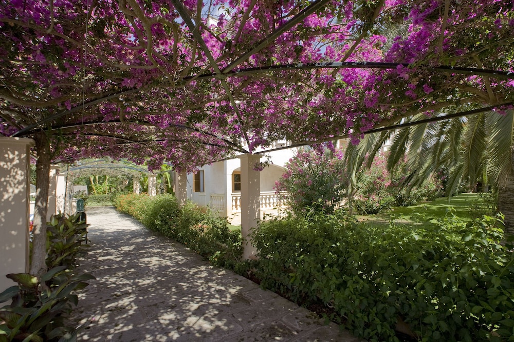 Globales Isabel — Hotel building in Cala Bona, Balearic Islands
