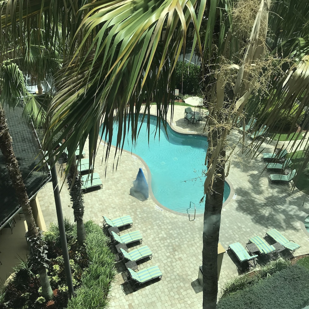 The Palms at 8303 - Lake Buena Vista — Swimming pool in Orlando, Florida