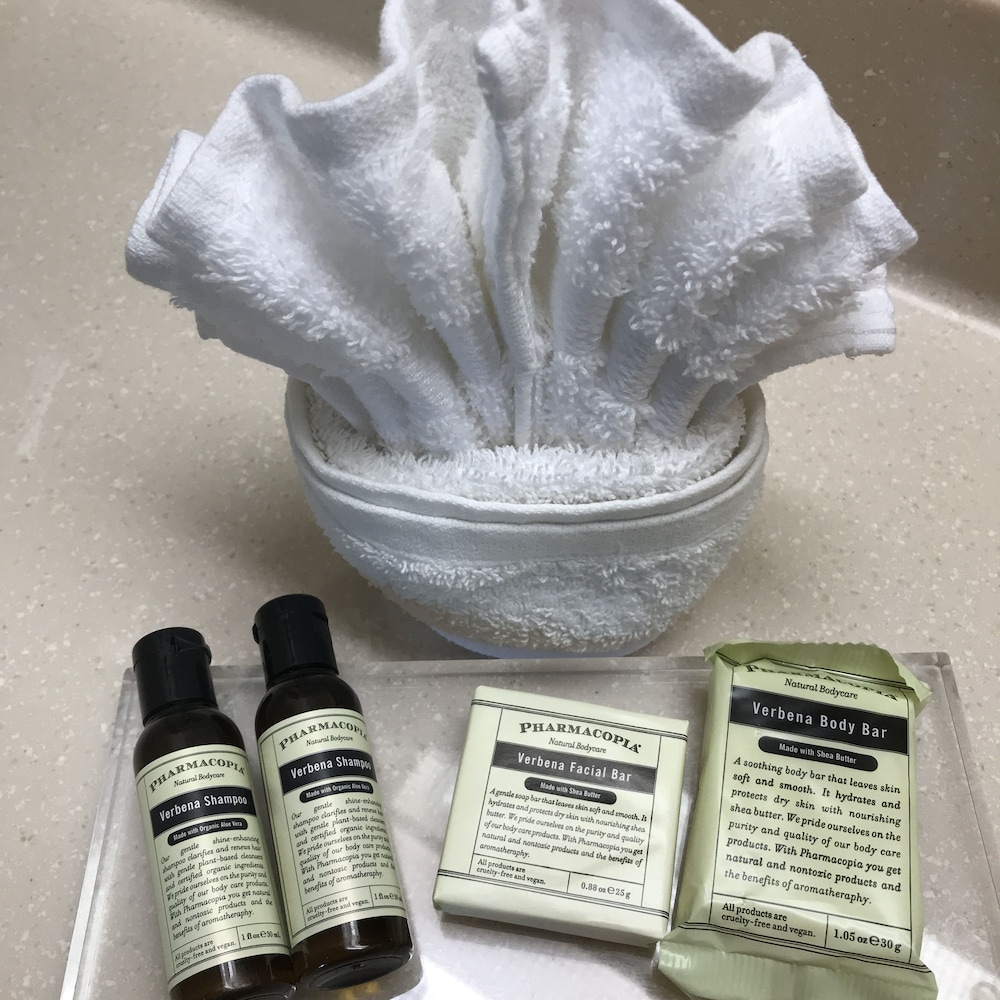 The Palms at 8303 - Lake Buena Vista — Hotel rooms in Orlando, Florida