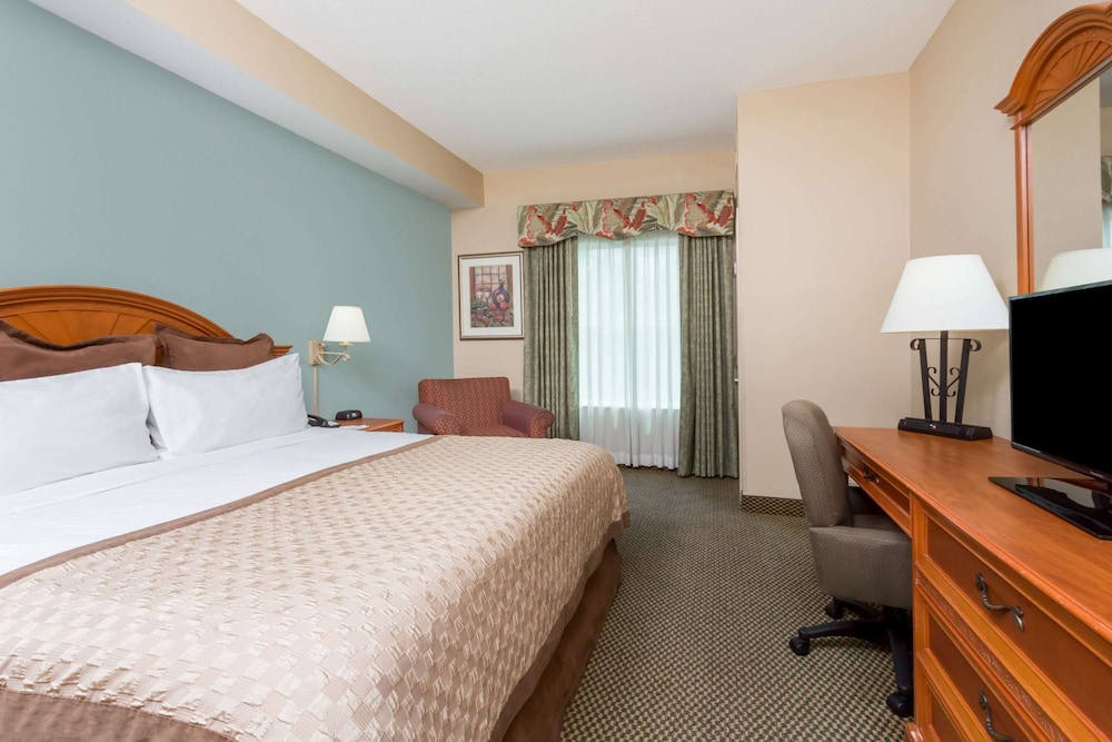 The Palms at 8303 - Lake Buena Vista — Hotel rooms in Orlando, Florida