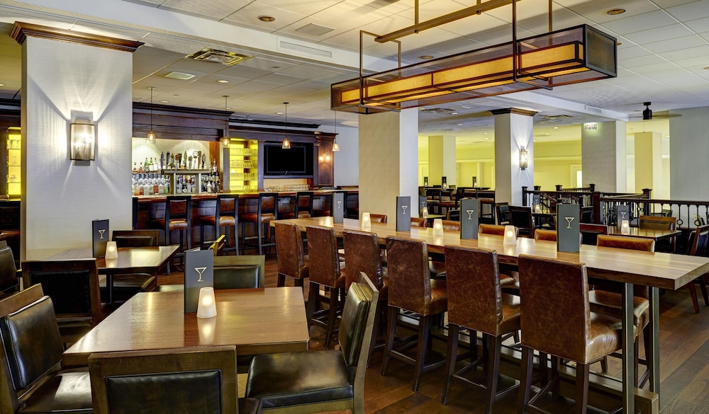 Hilton Orlando Lake Buena Vista - Disney Springs® Area — Restaurant & bars in Lake Buena Vista, Florida