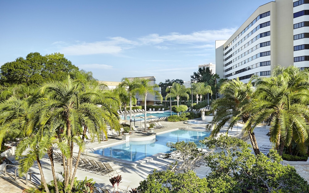 Hilton Orlando Lake Buena Vista - Disney Springs® Area — Swimming pool in Lake Buena Vista, Florida