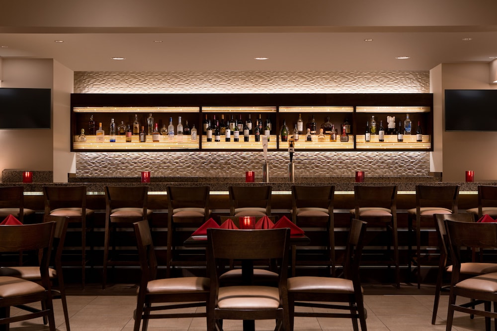 Hilton Orlando Lake Buena Vista - Disney Springs® Area — Restaurant & bars in Lake Buena Vista, Florida
