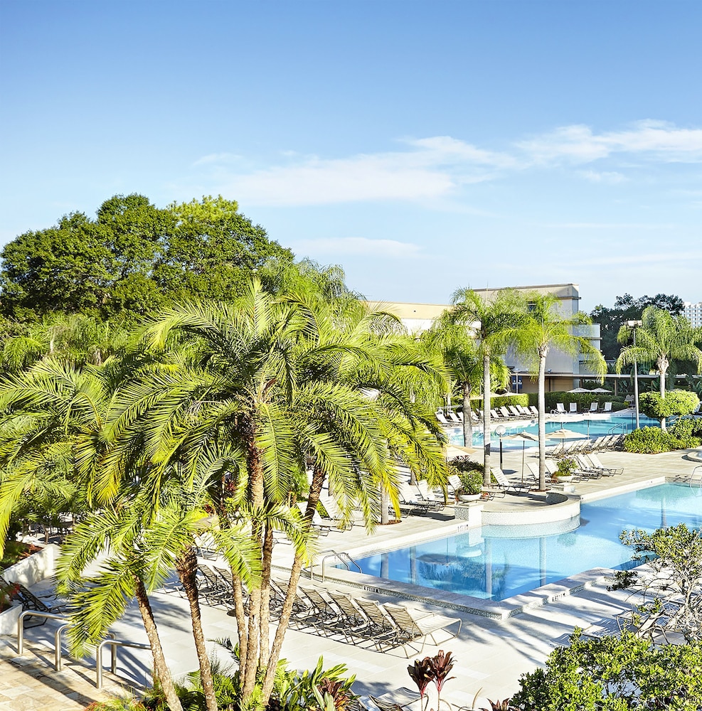 Hilton Orlando Lake Buena Vista - Disney Springs® Area — Swimming pool in Lake Buena Vista, Florida