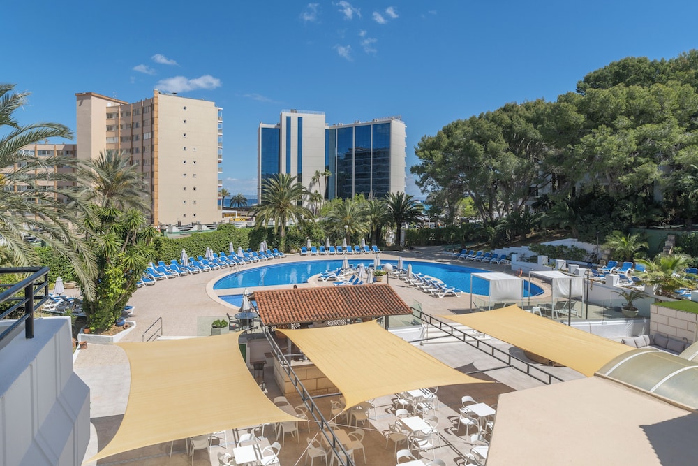 Sol Lunamar Palmanova Apartamentos – Adults Only — Swimming pool in Palma Nova, Balearic Islands