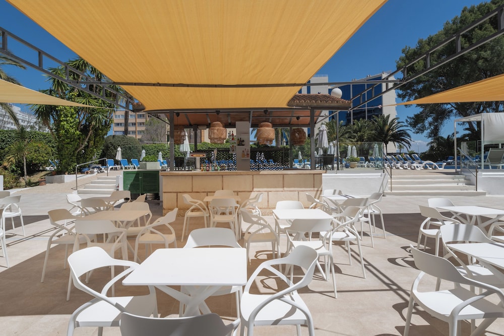 Sol Lunamar Palmanova Apartamentos – Adults Only — Restaurant & bars in Palma Nova, Balearic Islands