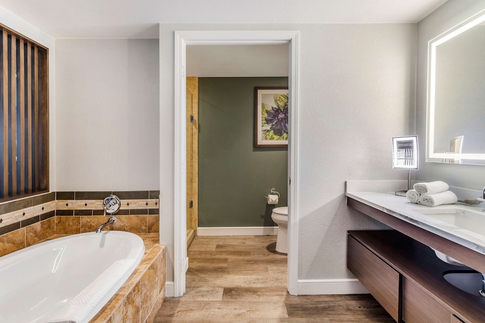 Hilton Grand Vacations Club Flamingo Las Vegas — Hotel rooms in Las Vegas, Nevada