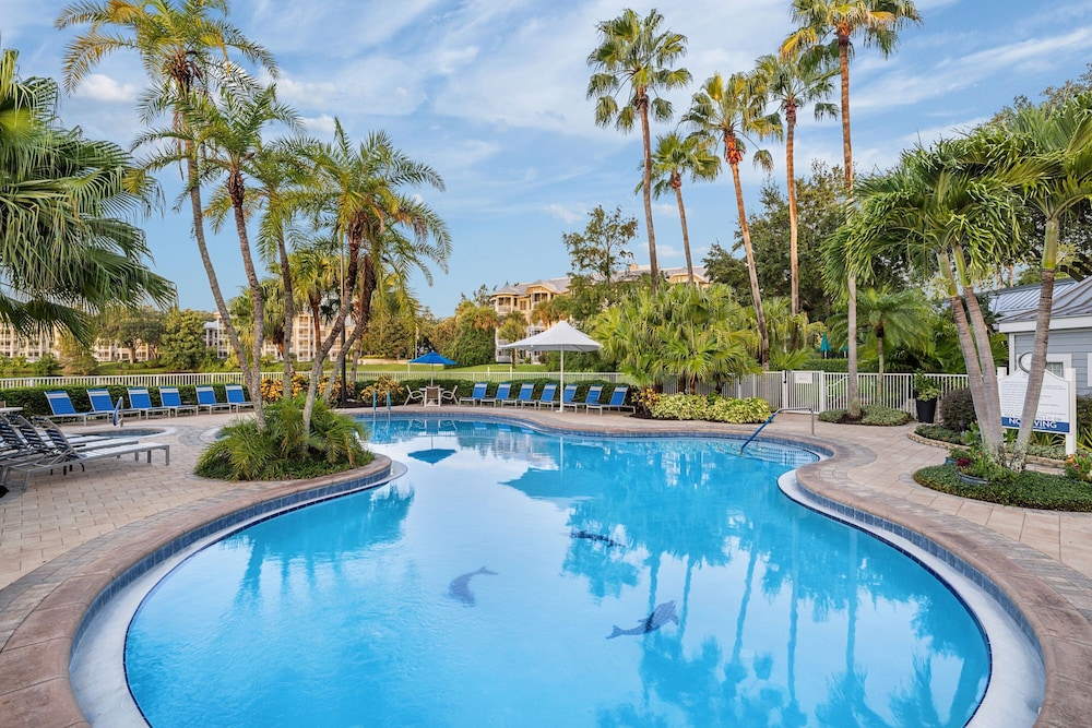 Marriott's Cypress Harbour Villas — Swimming pool in Orlando, Florida