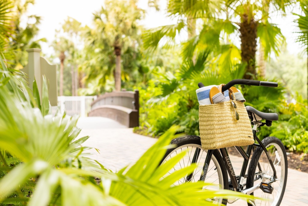 Marriott's Cypress Harbour Villas — Attractions in the area in Orlando, Florida