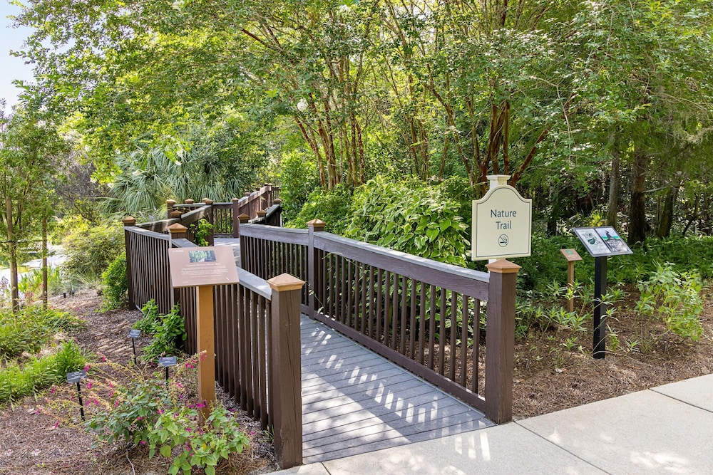 Marriott's Cypress Harbour Villas — Attractions in the area in Orlando, Florida