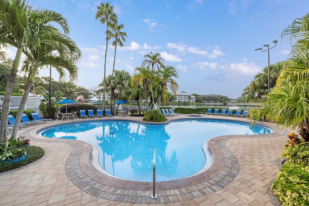 Marriott's Cypress Harbour Villas — Swimming pool in Orlando, Florida