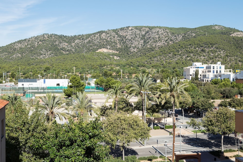 Martinez Apartments — Attractions in the area in Palma Nova, Balearic Islands
