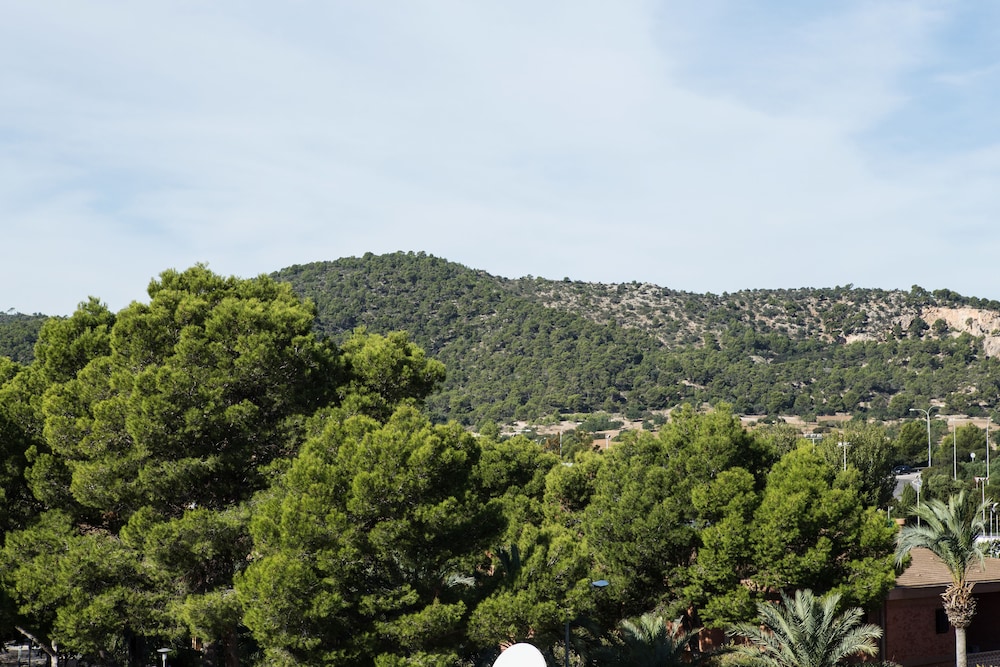 Martinez Apartments — Attractions in the area in Palma Nova, Balearic Islands