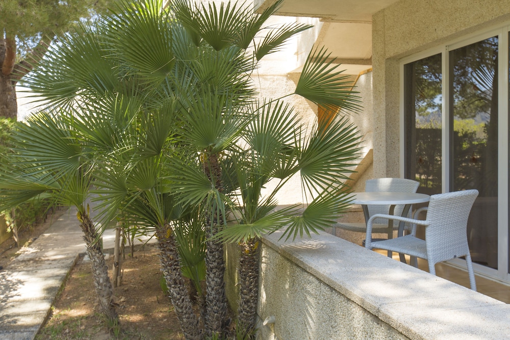 Apartamentos Massol — Hotel building in Puerto Pollensa, Balearic Islands