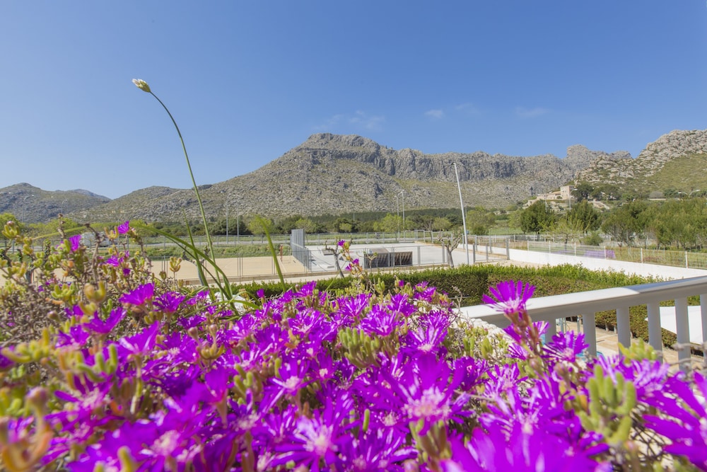 Apartamentos Massol — Sports & recreation in Puerto Pollensa, Balearic Islands