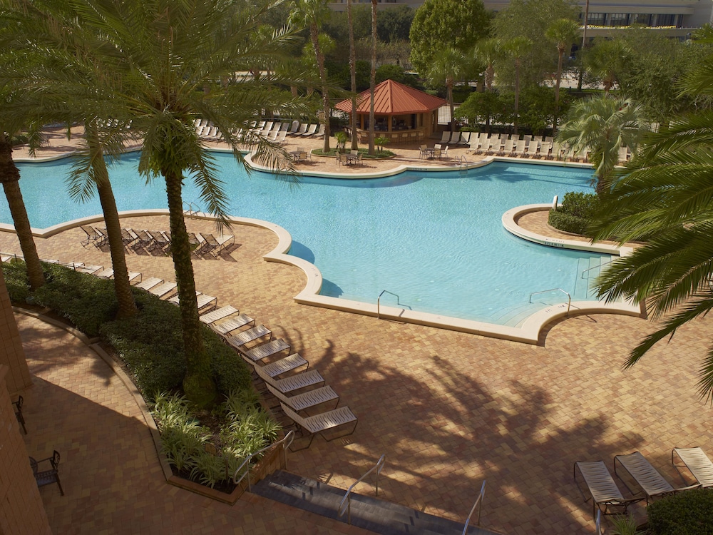 Rosen Centre Hotel — Swimming pool in Orlando, Florida
