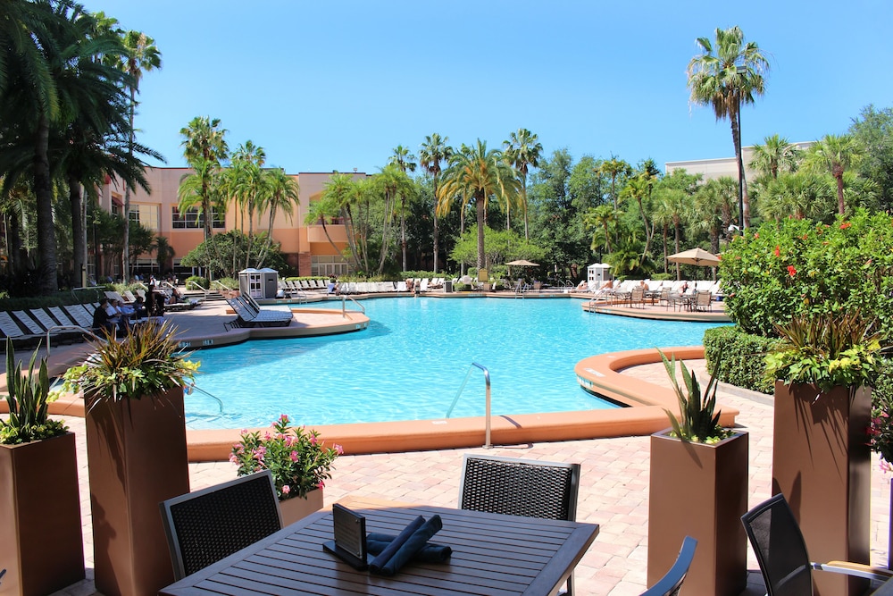 Rosen Centre Hotel — Swimming pool in Orlando, Florida