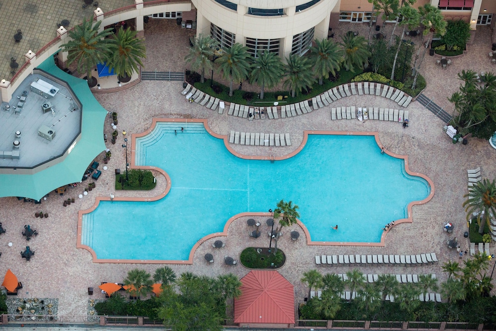 Rosen Centre Hotel — Swimming pool in Orlando, Florida