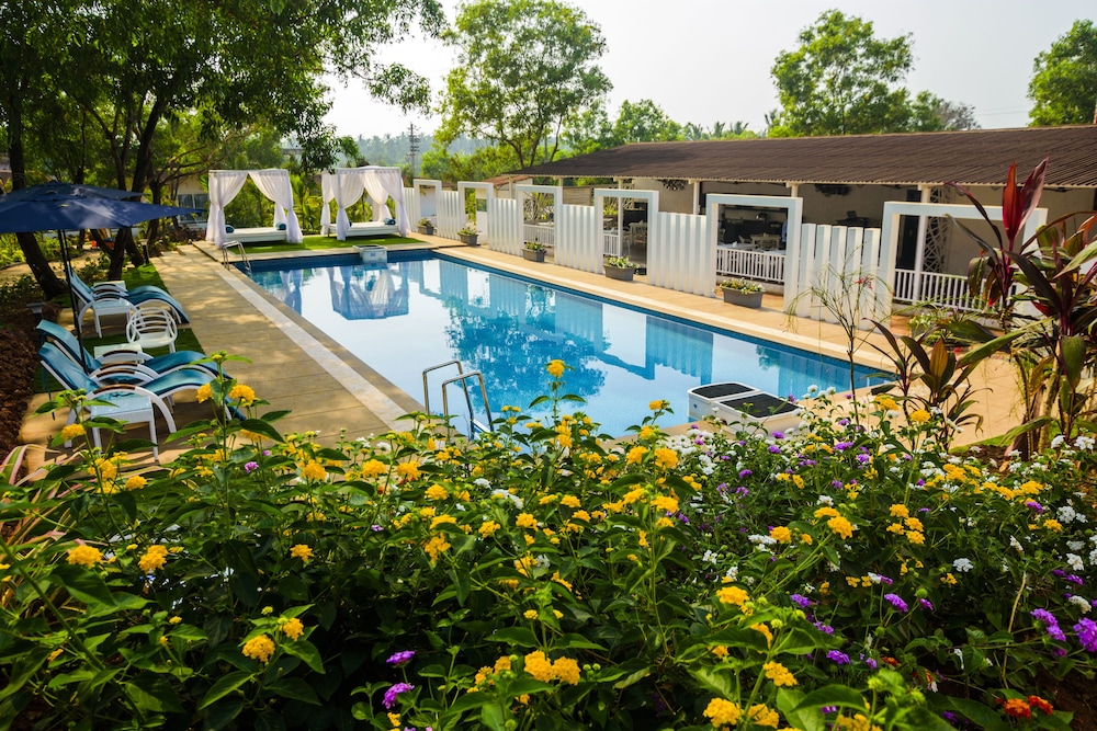White woods Resort & Spa — Swimming pool in Morjim, Goa