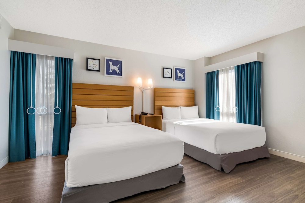 Sonesta ES Suites Orlando - International Drive — Hotel rooms in Orlando, Florida