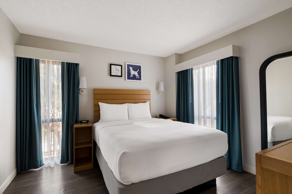 Sonesta ES Suites Orlando - International Drive — Hotel rooms in Orlando, Florida