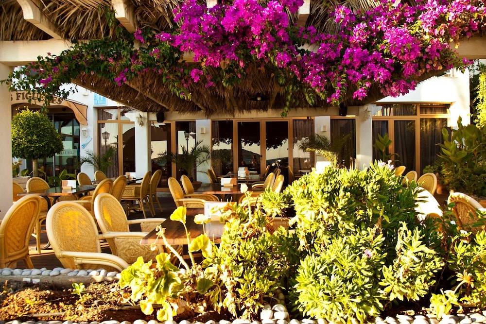 Hotel Ses Figueres — Restaurant & bars in Ibiza Town, Balearic Islands