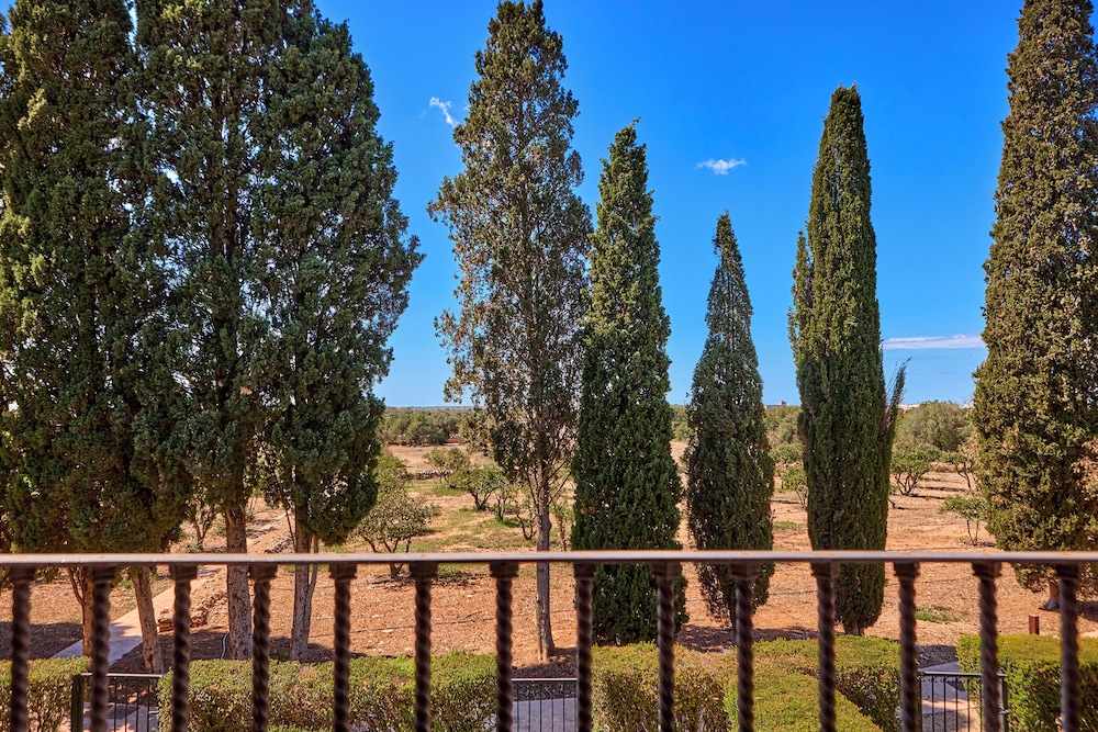 Son Julia Country House & Spa — Attractions in the area in Llucmajor, Balearic Islands