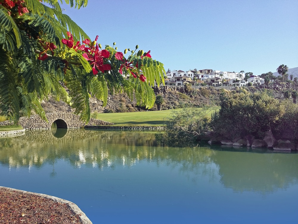 Hotel Suite Villa María — Attractions in the area in Costa Adeje, Canary Islands
