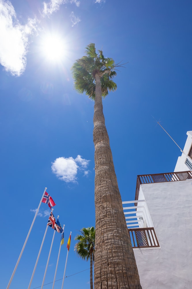 Vista Mar - SELECT ADULTS (+16) — Hotel building in Puerto del Carmen, Canary Islands