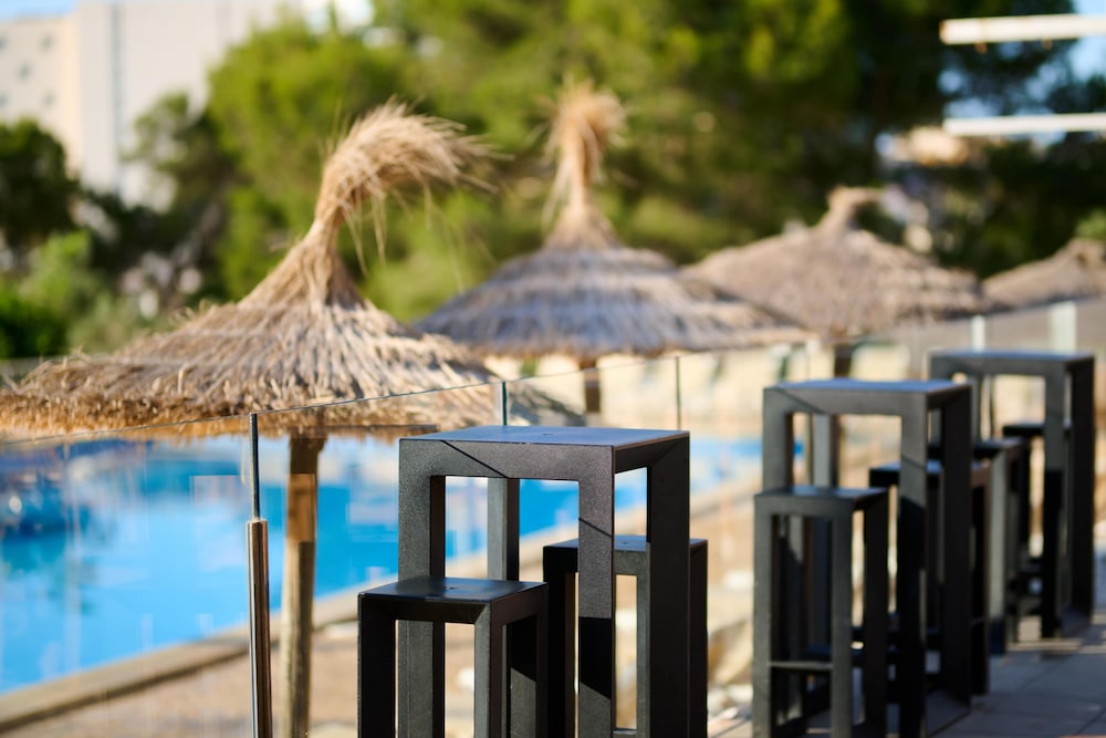AluaSun Cala Antena- All Inclusive - Hyatt Inclusive Collection — Restaurant & bars in Calas de Mallorca, Balearic Islands