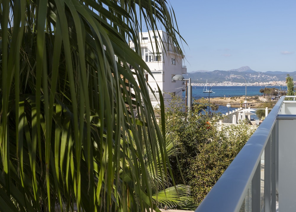 Hotel JS Palma Stay - Adults Only — Attractions in the area in Playa de Palma, Balearic Islands